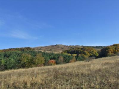 Прикрепленное изображение: DSCF5858.jpg